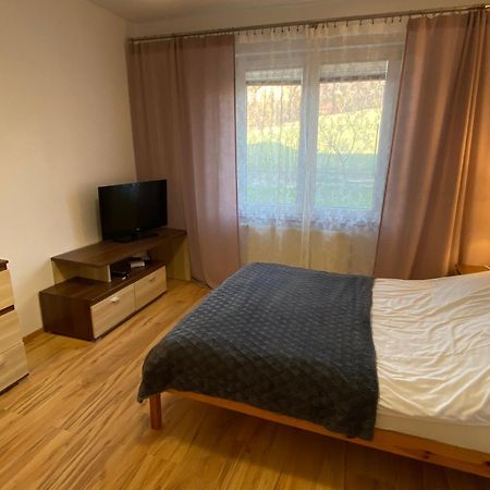 Apartament Zacisze Ustron Exterior foto
